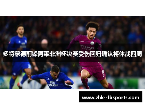 多特蒙德前锋阿莱非洲杯决赛受伤回归确认将休战四周